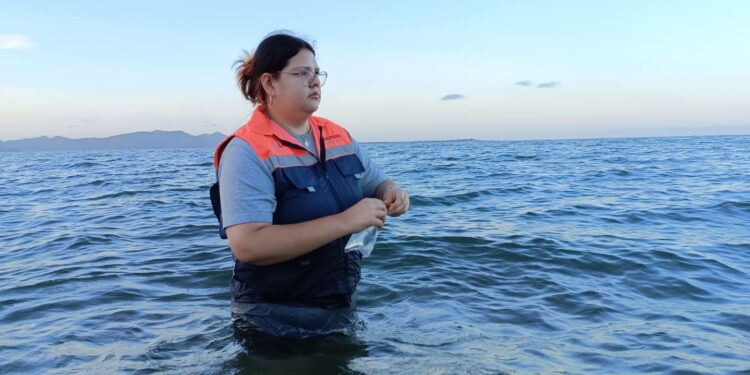 Todas las playas de Sinaloa son aptas para bañarse: COFEPRIS