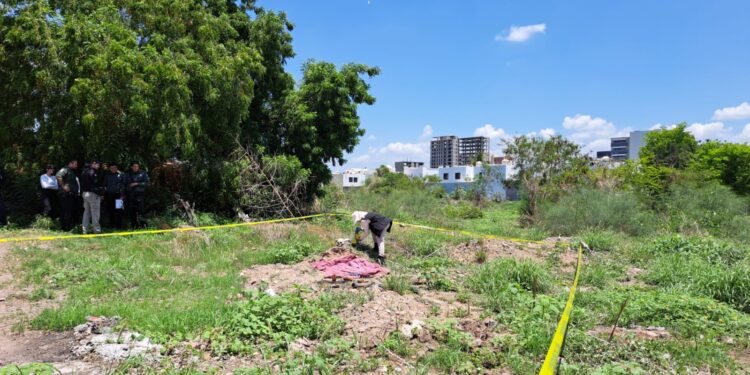 Hallan restos humanos cerca de la Fiscalía General del Estado 