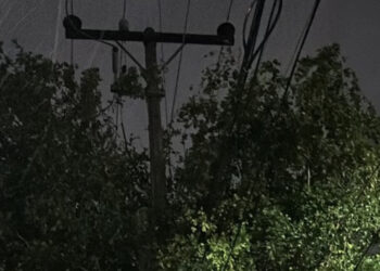 Personal de la CFE se niega a podar árbol en sector donde se quemó vivienda por rayo  en Culiacán