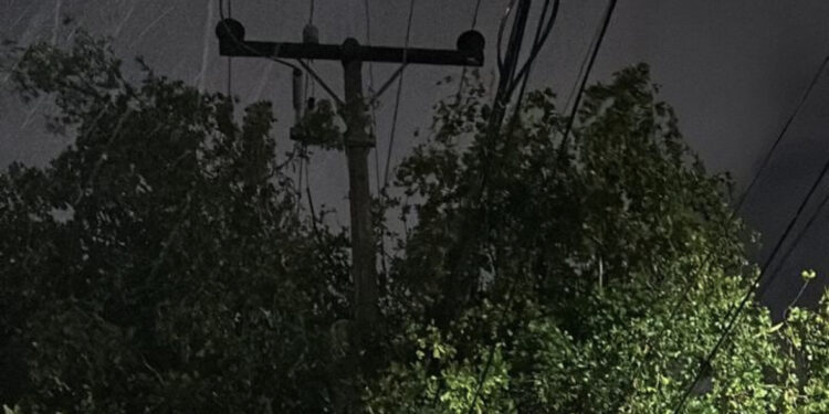 Personal de la CFE se niega a podar árbol en sector donde se quemó vivienda por rayo  en Culiacán