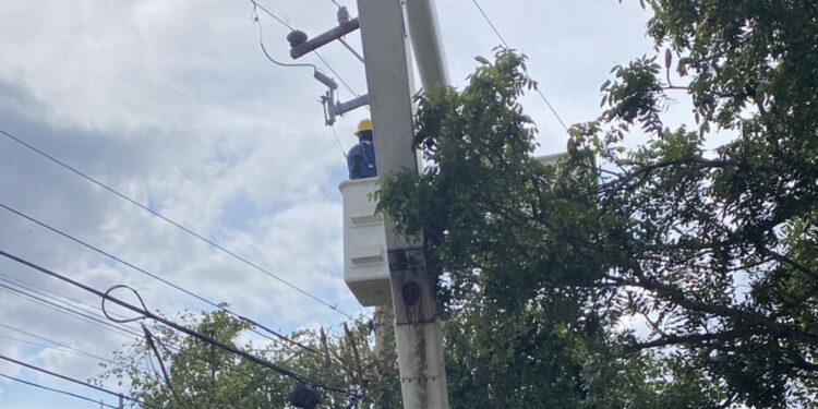 ¡Cumple la CFE!  Personal acude a podar árbol en Infonavit Las Flores