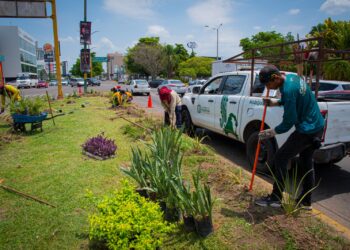 Acciones de limpieza y mantenimiento arribaron al sector Tres Ríos