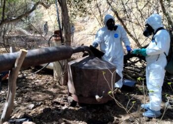 La Marina a desmantelado 104 laboratorios clandestinos durante el 2023; la mayoría en Sinaloa