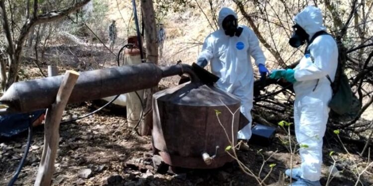 La Marina a desmantelado 104 laboratorios clandestinos durante el 2023; la mayoría en Sinaloa