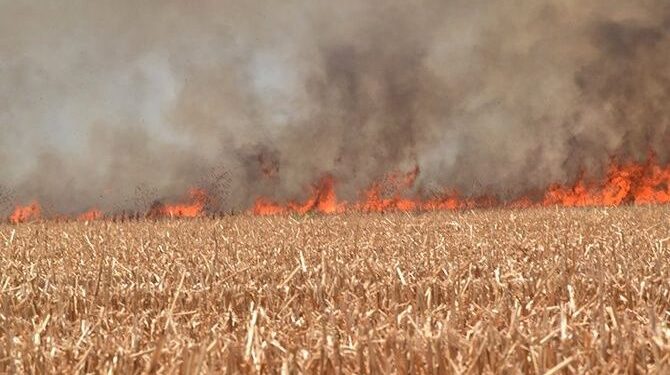 Van 3 reportes de quema de soca y 5 actas administrativas emitidas por el Ayuntamiento de Ahome