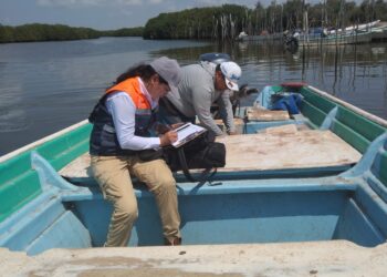 COEPRISS levanta Veda Sanitaria en la Bahía Altata Ensenada Pabellones y Bahía Altata Norte