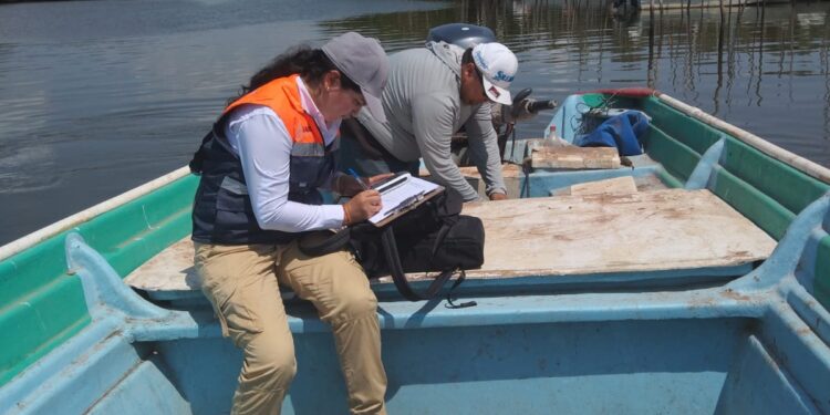 COEPRISS levanta Veda Sanitaria en la Bahía Altata Ensenada Pabellones y Bahía Altata Norte