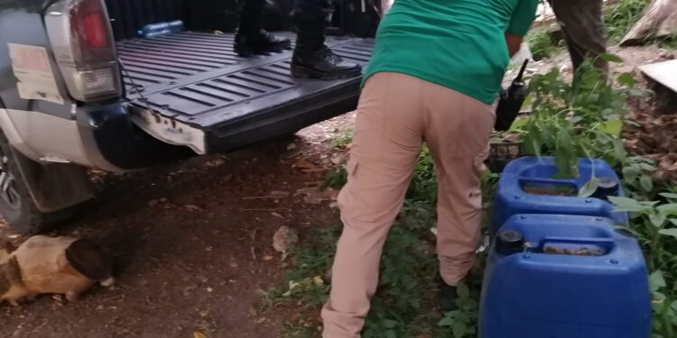 Niños localizan bidones con químicos peligrosos y casi resultan intoxicados