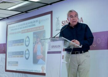 Productores de maíz no caerán en cartera vencida ante FIRA, ya se acordó prórroga: Rocha Moya