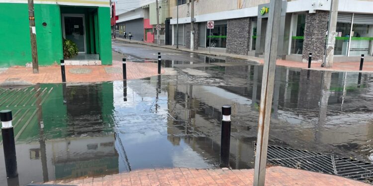 Brotan de nuevo aguas negras y descubre que la tubería está colapsada