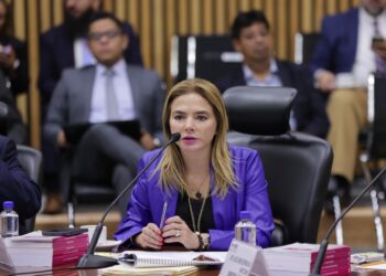 Aprueba INE Anteproyecto de Presupuesto para 2024