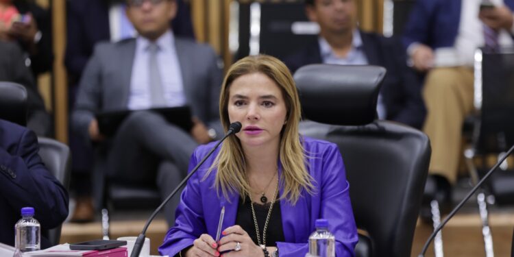 Aprueba INE Anteproyecto de Presupuesto para 2024