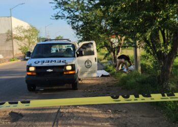 Localizan a un “cobijado” en Capistrano