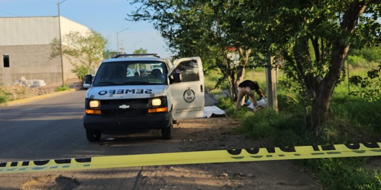 Localizan a un “cobijado” en Capistrano