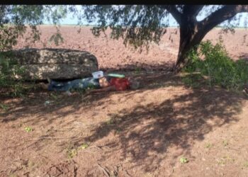 Hallan un segundo ejecutado en Salvador Alvarado