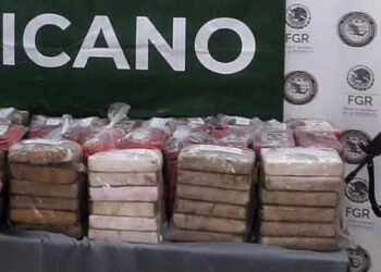 235 kilos de cocaína y casi un millón de pesos en efectivo, se destacan entre lo asegurado por el Ejército Mexicano en el mes de julio