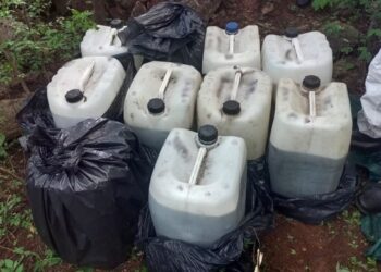 Localizan precursores químicos en Los Mayos, Sanalona 