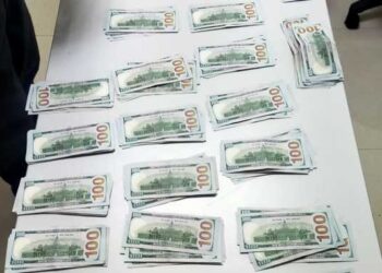 Llegó a México con 32 mil 400 dólares sin declarar y fue detenido