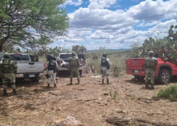 Aseguran más de 4 mil 800 cartuchos para arma larga en campamento clandestino en Zacatecas