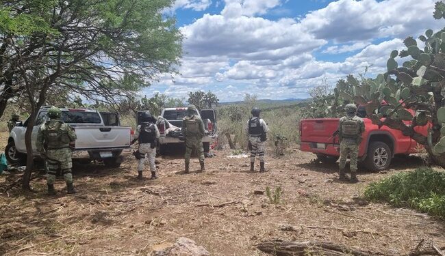 Aseguran más de 4 mil 800 cartuchos para arma larga en campamento clandestino en Zacatecas