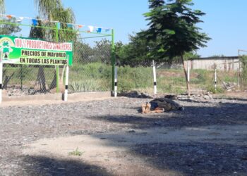 Segundo homicidio perpetrado en Culiacán durante septiembre