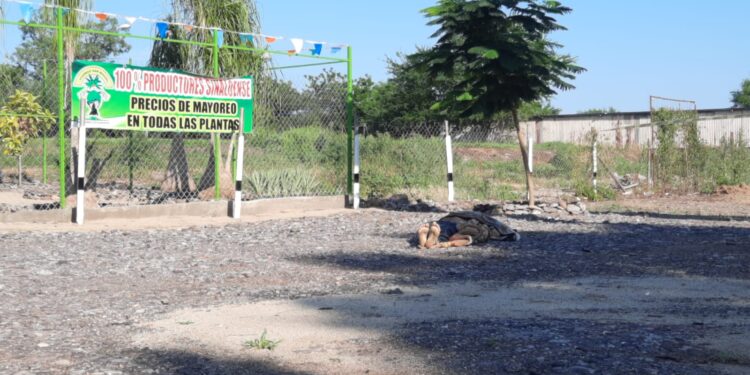 Segundo homicidio perpetrado en Culiacán durante septiembre