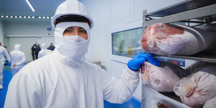 En Agosto Sinaloa registró 19,821 nuevos empleos formales