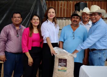 Inicio la SAyG programa de entrega de semillas de garbanzo en Mocorito