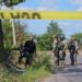 Localizan a un desconocido asesinado y quemado cerca de La Primavera
