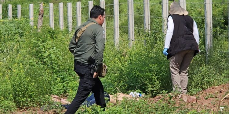 Hallan a dos ejecutados a balazos en Carboneras