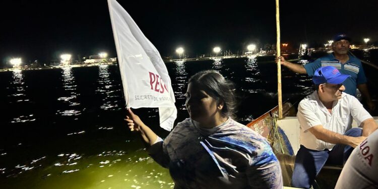 Está madrugada arrancó oficialmente la temporada de captura de camarón la región norte y centro de Sinaloa