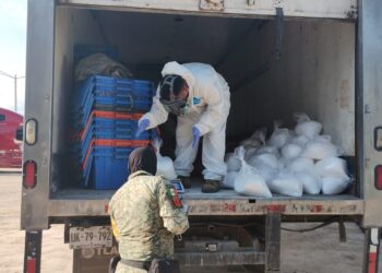 Militares aseguran 300 kilos de drogas en El Ranchito
