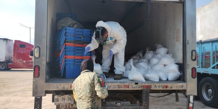 Militares aseguran 300 kilos de drogas en El Ranchito