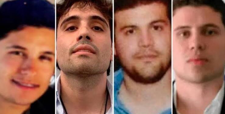 Golpe a “Los Chapitos”: EEUU incluye en su lista negra a nueve de sus integrantes “más buscados”