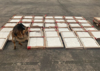 Asegura 174 kilos de droga sintética ocultos entre losetas de cerámica para piso en Sonora