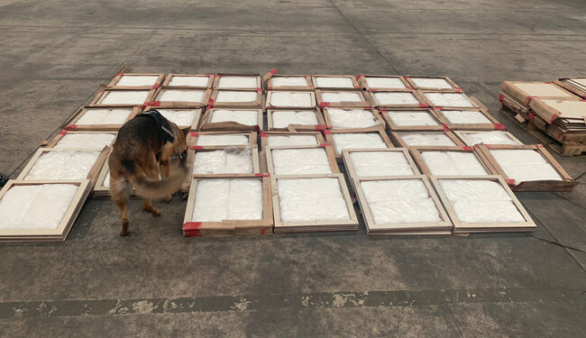 Asegura 174 kilos de droga sintética ocultos entre losetas de cerámica para piso en Sonora