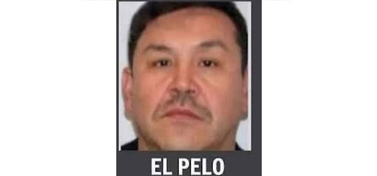 Gabinete de Seguridad confirma que en Quintana Roo dejaron ir a José Gil, sobrino de Caro Quintero