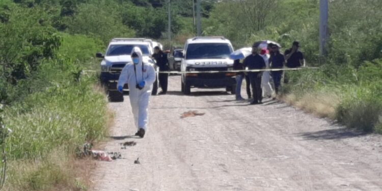 Localizan a una mujer estrangulada en Costa Rica