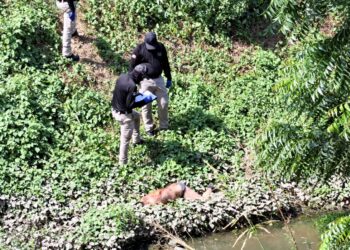 Localizan otro asesinado en Culiacán