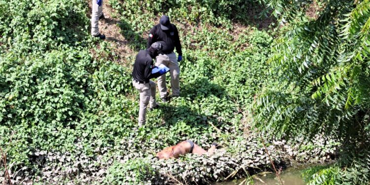 Localizan otro asesinado en Culiacán