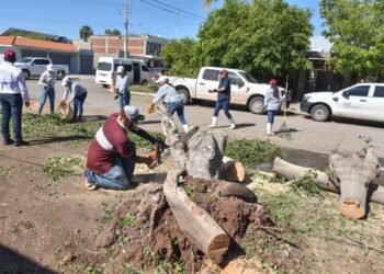 “Al 90% el restablecimiento de los servicios en Los Mochis y todo el Municipio”: Gerardo Vargas