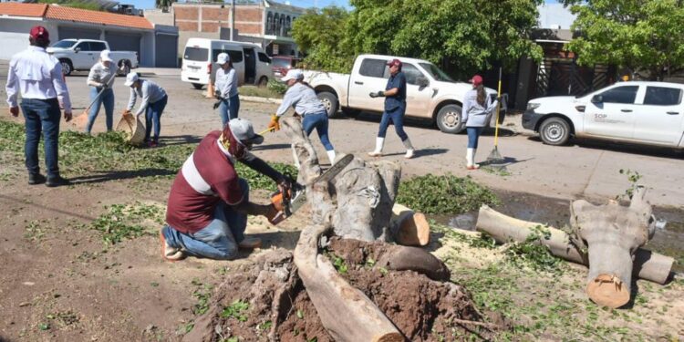 “Al 90% el restablecimiento de los servicios en Los Mochis y todo el Municipio”: Gerardo Vargas
