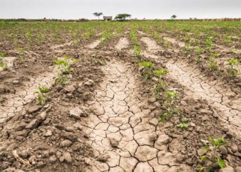 Gobierno de Sinaloa pondrá en marcha Programa Emergente para atender sequía