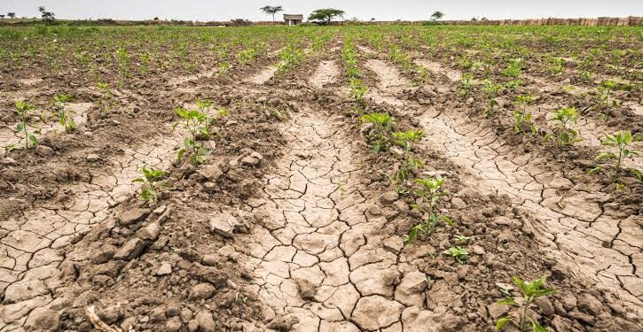 Gobierno de Sinaloa pondrá en marcha Programa Emergente para atender sequía