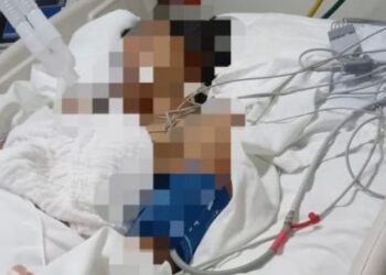 Marlene, con muerte cerebral por golpiza de su pareja, será desconectada; su familia  donará sus órganos