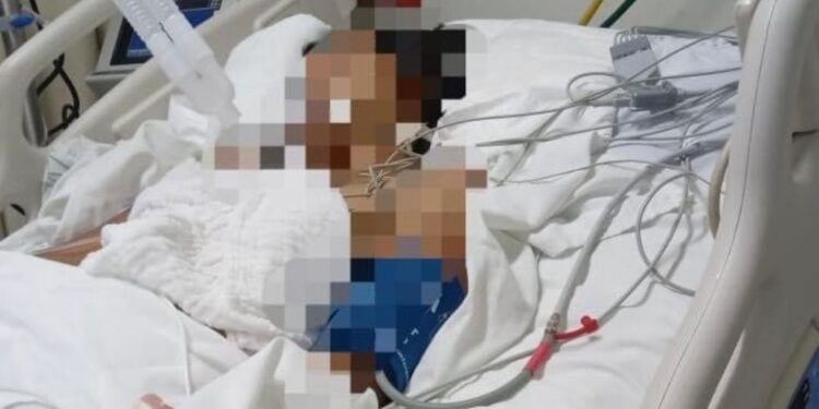 Marlene, con muerte cerebral por golpiza de su pareja, será desconectada; su familia  donará sus órganos