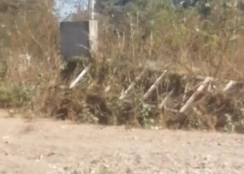 Cinco años y ninguna autoridad municipal ha reparado el puente en Baila