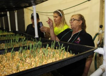 La Unión Ganadera Regional de Sinaloa impulsa la hidroponía como solución innovadora para la alimentación del ganado