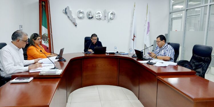 CEAIP resolvió 22 recursos de revisión de acceso a la información en Sesión de Pleno 49 del año