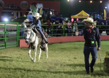 El show de Mulas que cautivó a todos en la Expo Ganadera Sinaloa 2023.